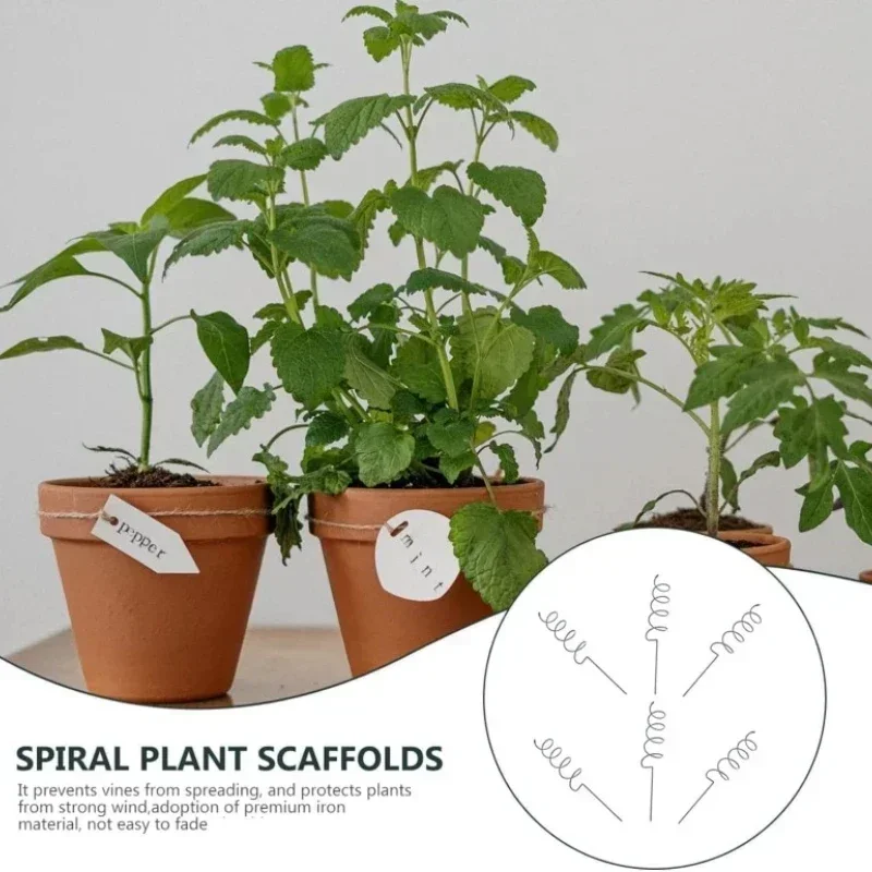 Plant Support Stake - เสาค้ำต้นไม้เลื้อย ที่ค้ำต้นไม้เลื้อยแบบเกลียว เสาค้ำมะเขือเทศแบบเกลียว ทนทาน ทำจากโลหะ สำหรับบอนไซและสวน