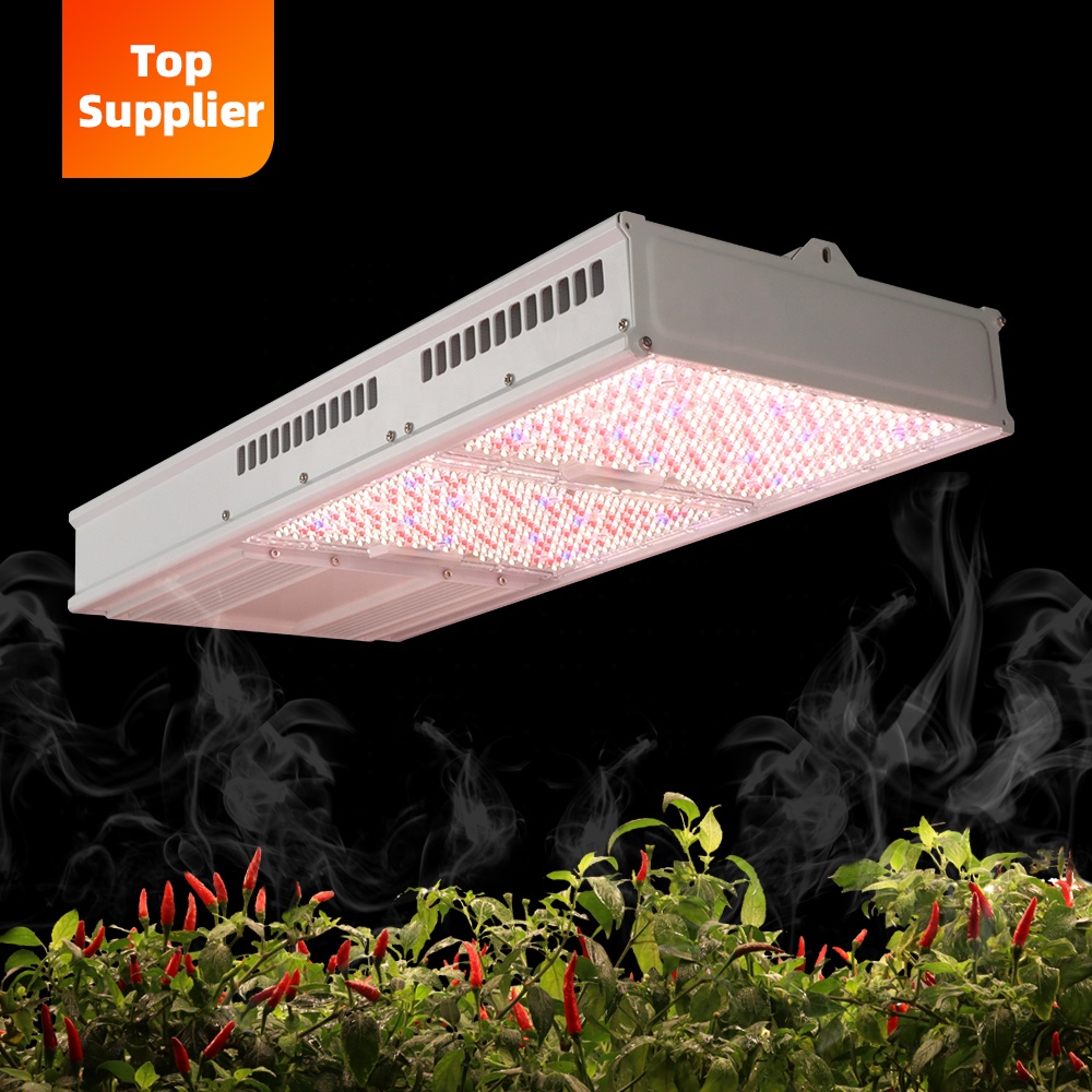 Indoor Plants - ไฟปลูกต้นไม้ในร่มแบบ LED สเปกตรัมเต็ม 600W 800W คุณภาพคุ้มราคา