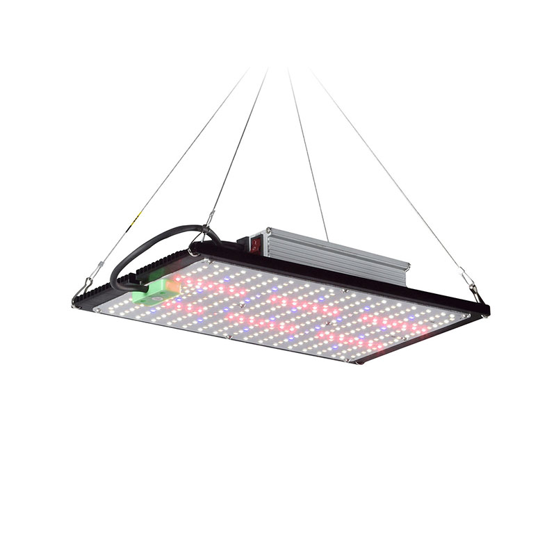 Indoor Plants - ไฟปลูกต้นไม้ LED แบบควอนตัมบอร์ด แบบสเปกตรัมเต็มรูปแบบ สำหรับแขวนเพิ่มแสงสว่างในโรงเรือนปลูกพืชผักและดอกไม้ในร่ม