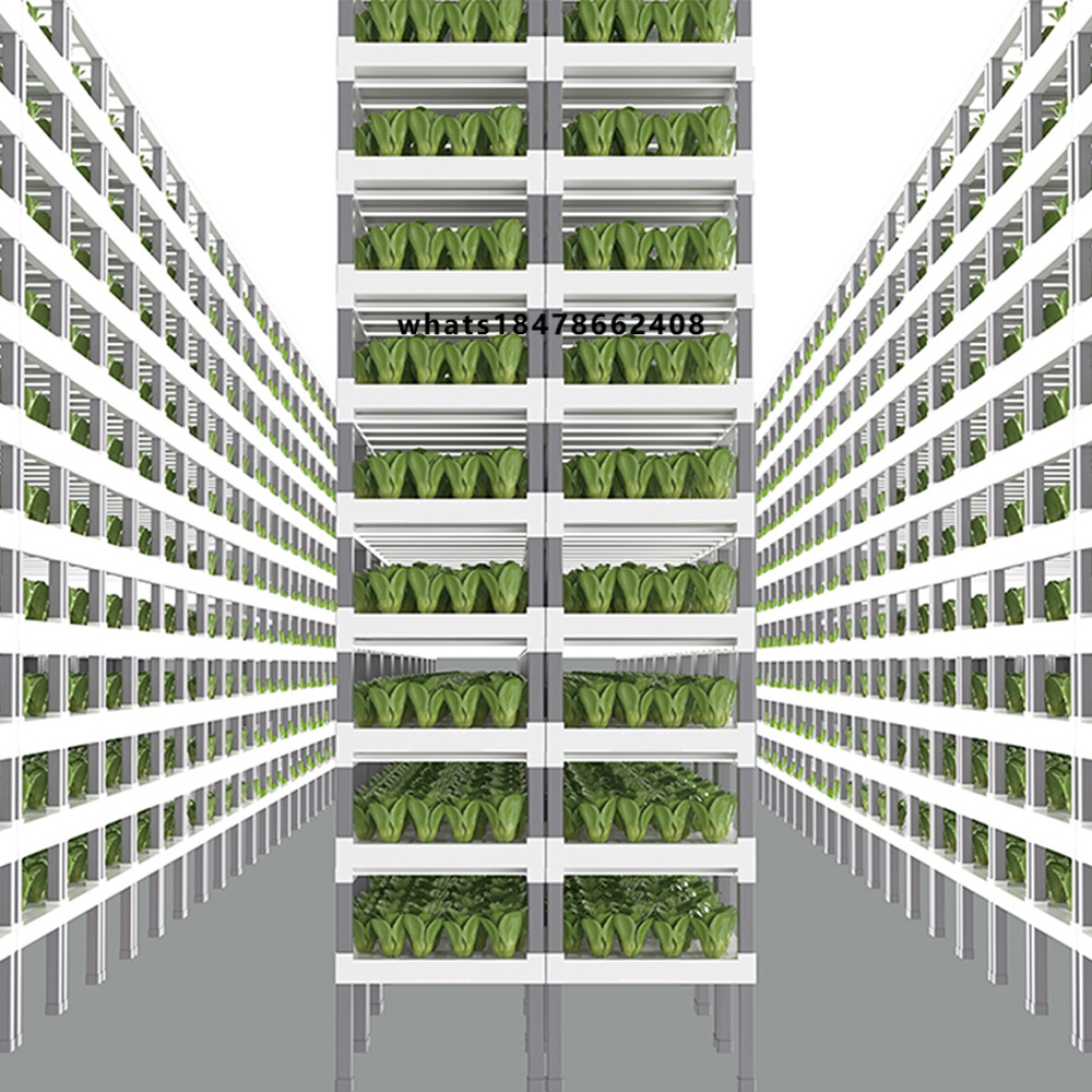 Indoor Plants - ระบบปลูกผักไฮโดรโปนิกส์อัจฉริยะควบคุมด้วยแอปพลิเคชัน ระบบปลูกผักผลไม้ไฮโดรโปนิกส์แบบโมดูลาร์สำหรับการเพาะปลูกในร่มแนวตั้ง