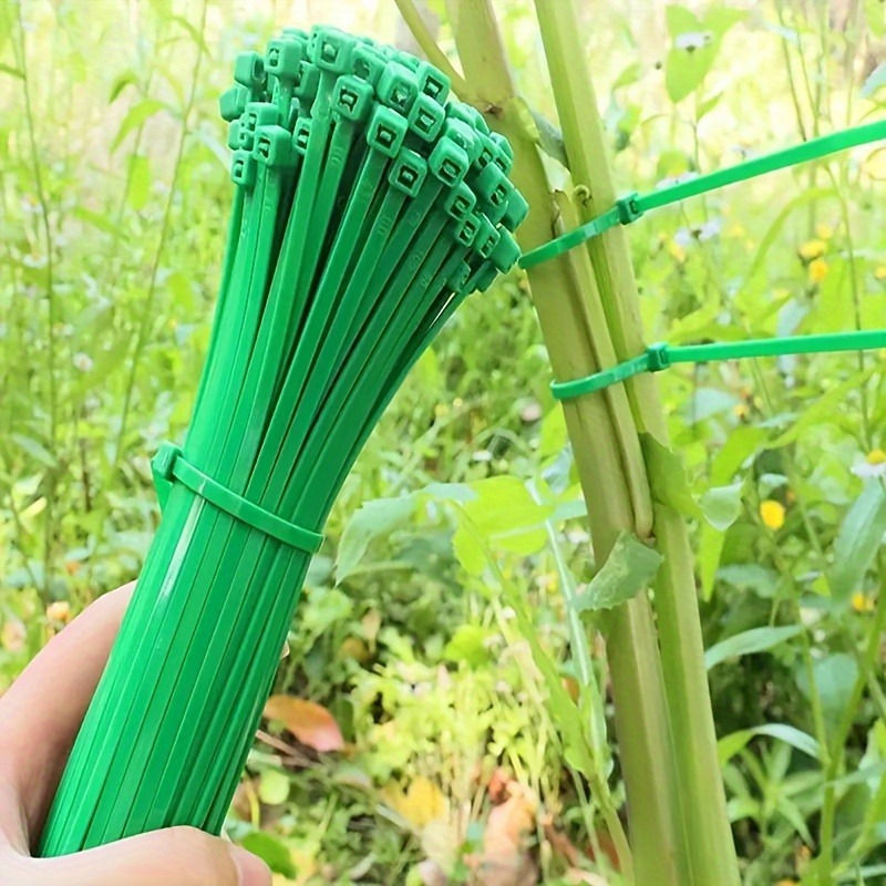 Plant Pot - สายรัดต้นไม้ 100 ชิ้น, สำหรับพันต้นไม้, ยึดต้นไม้, ดูแลสวน,