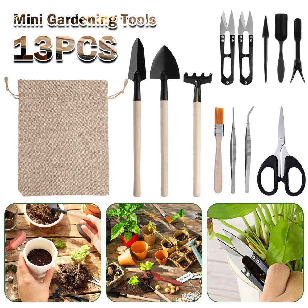 Succulent Set - Succulentพืชเครื่องมือMini Gardenเครื่องมือปลูกกลางแจ้งBonsaiสวนชุดเครื่องมือSucculent Miniatureเครื่องมือปลูก