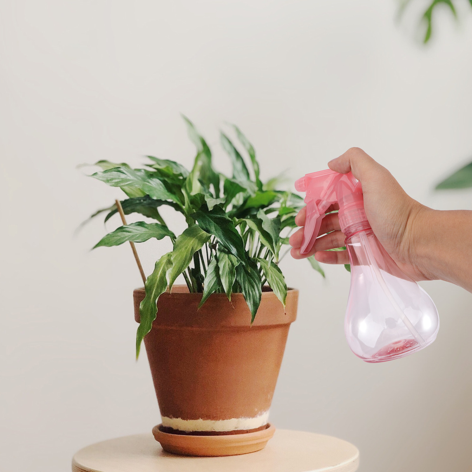 ชุดเครื่องมือปลูกต้นไม้ขนาดเล็ - Succulent Set บทวิจารณ์และราคา