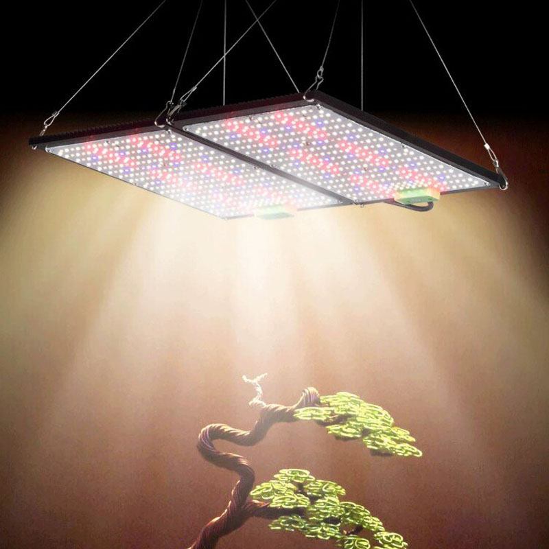 ไฟปลูกต้นไม้ LED แบบควอนตัมบอร - Indoor Plants บทวิจารณ์และราคา