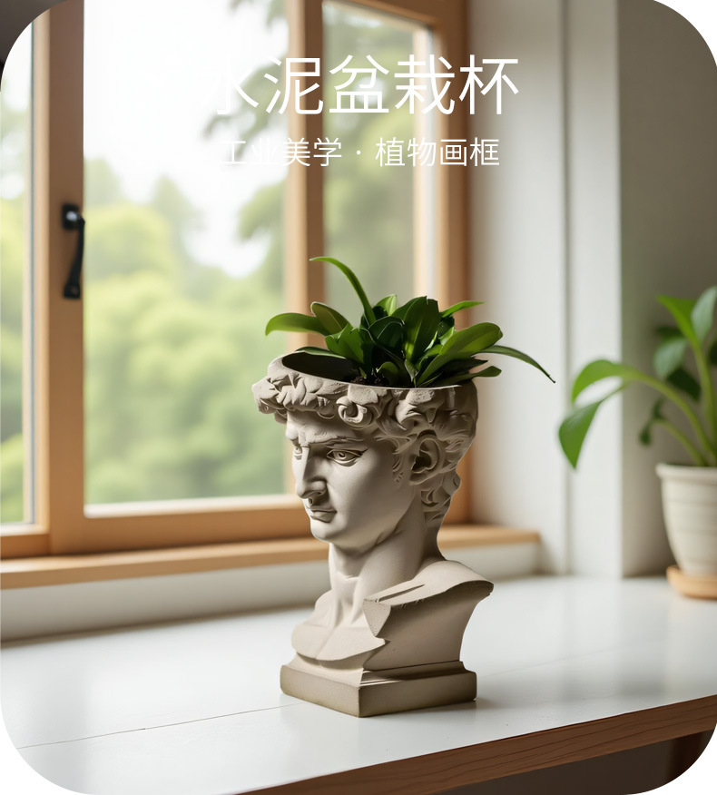 David หัวซิลิโคน Planter แม่พิ - Succulent Set บทวิจารณ์และราคา