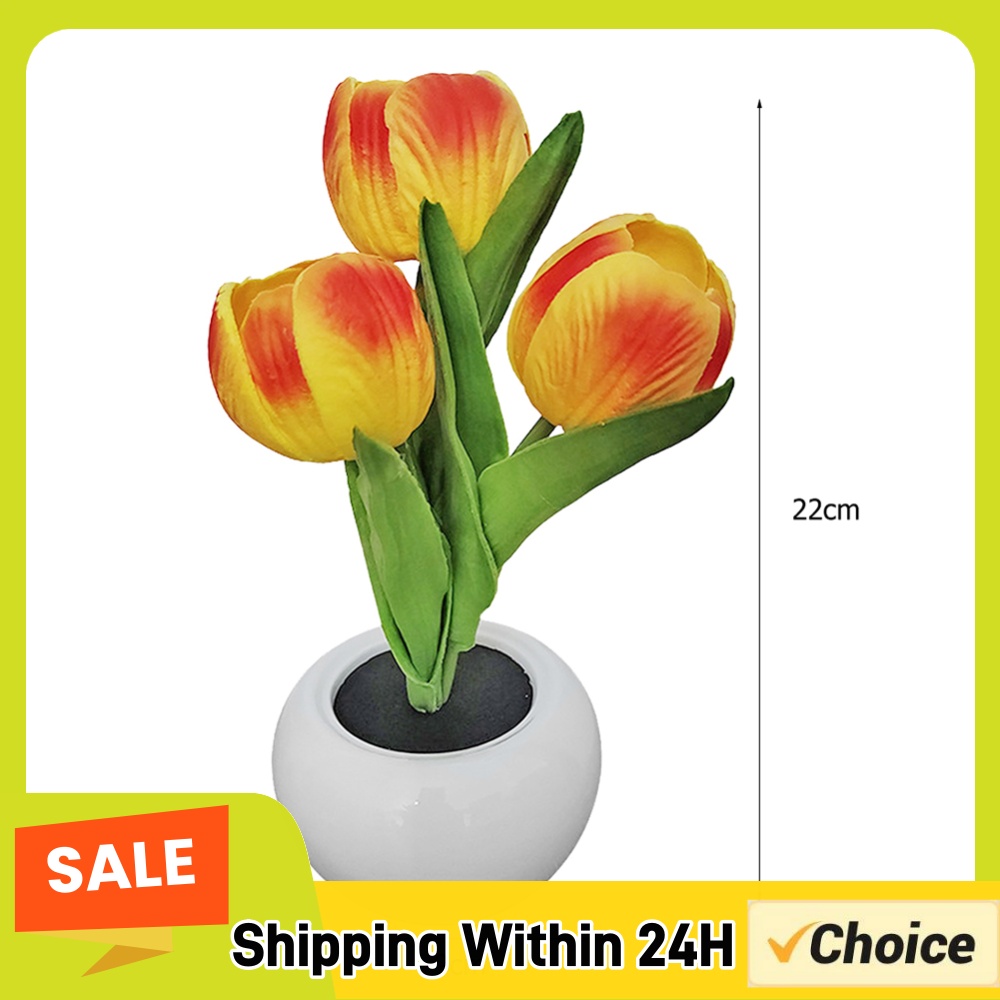 โคมไฟตั้งโต๊ะรูปต้นไม้กระถาง ข - Plant Pot บทวิจารณ์และราคา