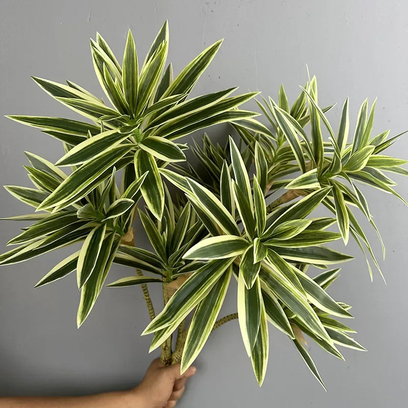 พืชสีเขียวประดิษฐ์ Tropical Li - Snake Plant บทวิจารณ์และราคา