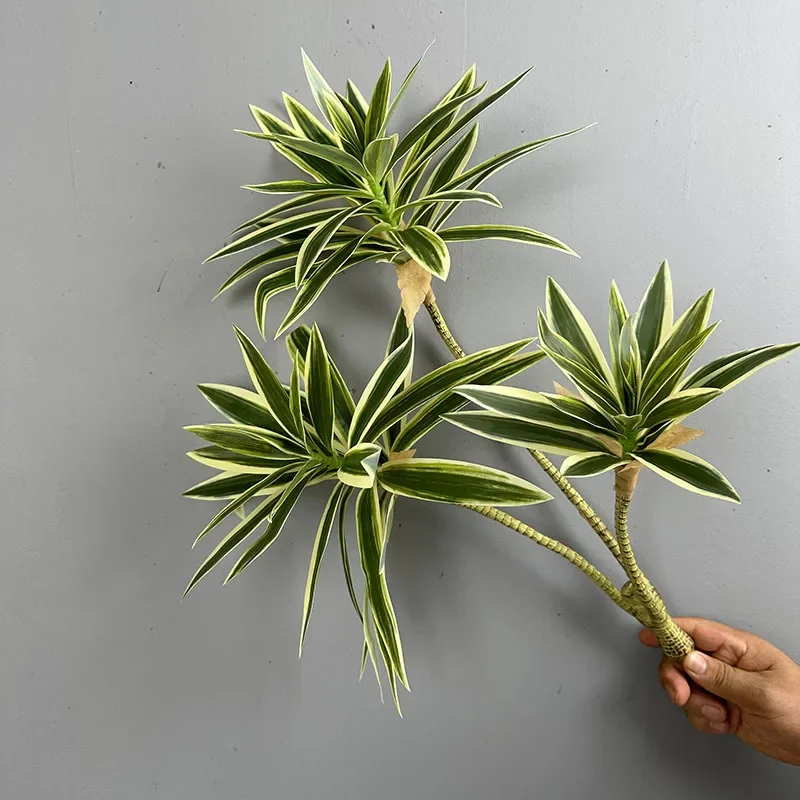 พืชสีเขียวประดิษฐ์ Tropical Li - Snake Plant บทวิจารณ์และราคา