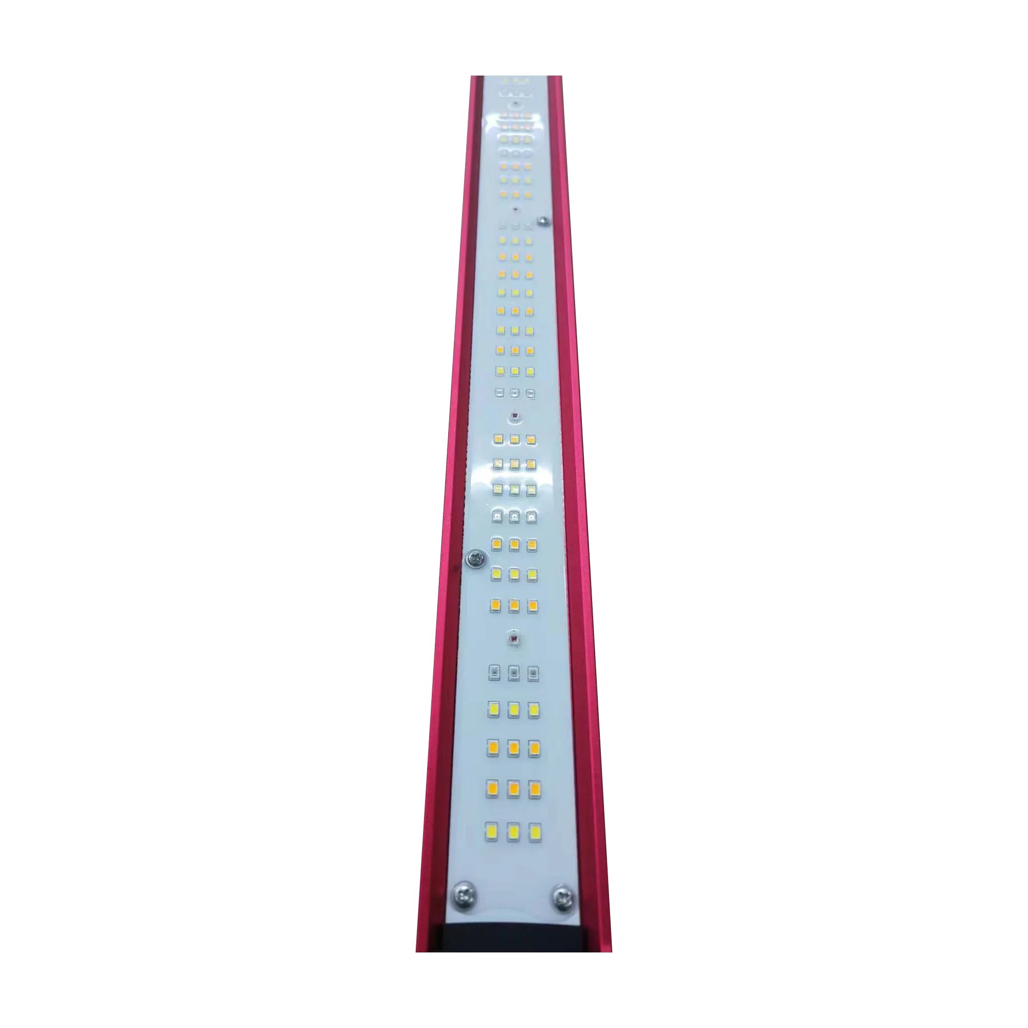 ไฟ LED สเปกตรัมเต็มสำหรับปลูกพ - Indoor Plants บทวิจารณ์และราคา