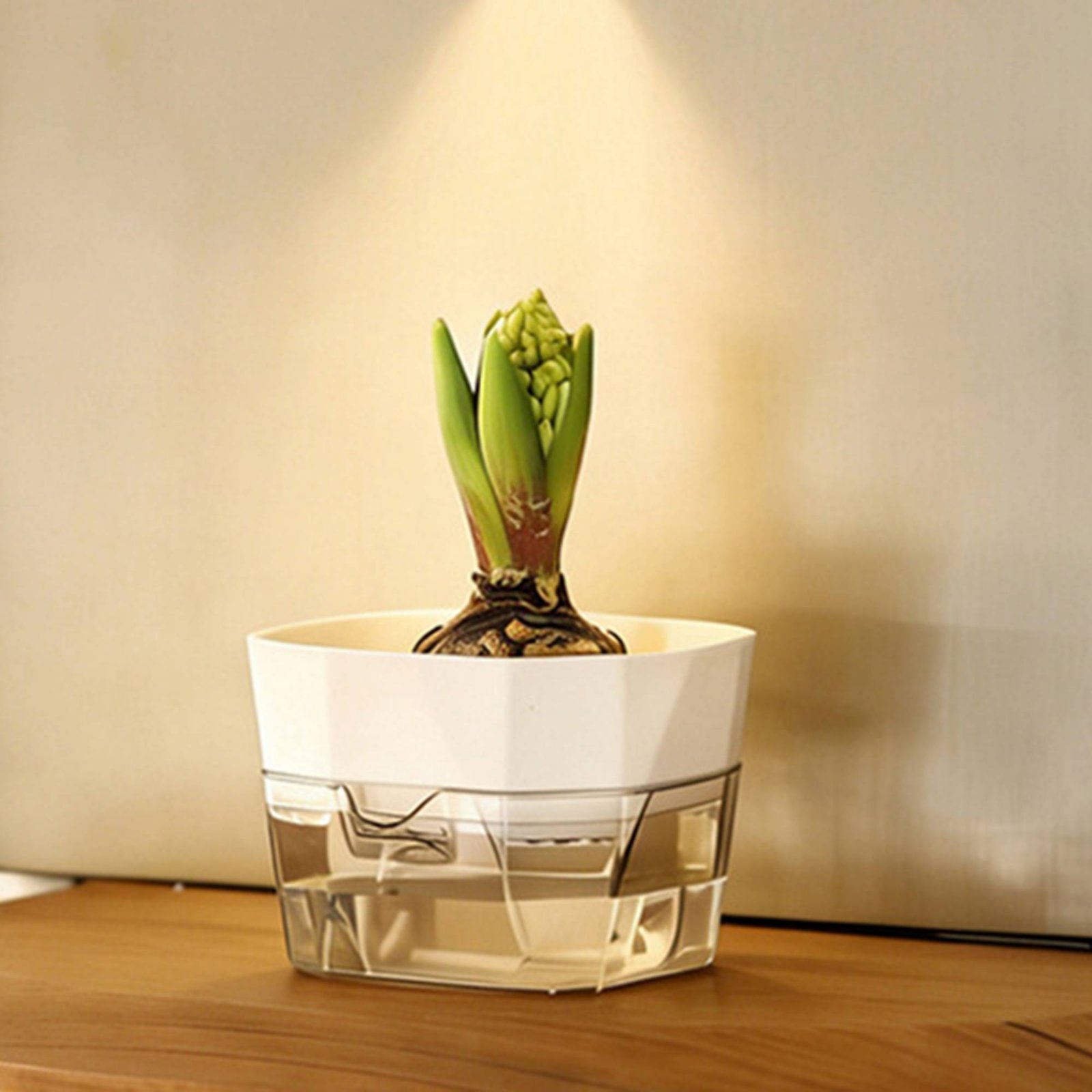 แจกันปลูกพืชแบบไฮโดรโปนิกส์ 2  - Plant Pot บทวิจารณ์และราคา
