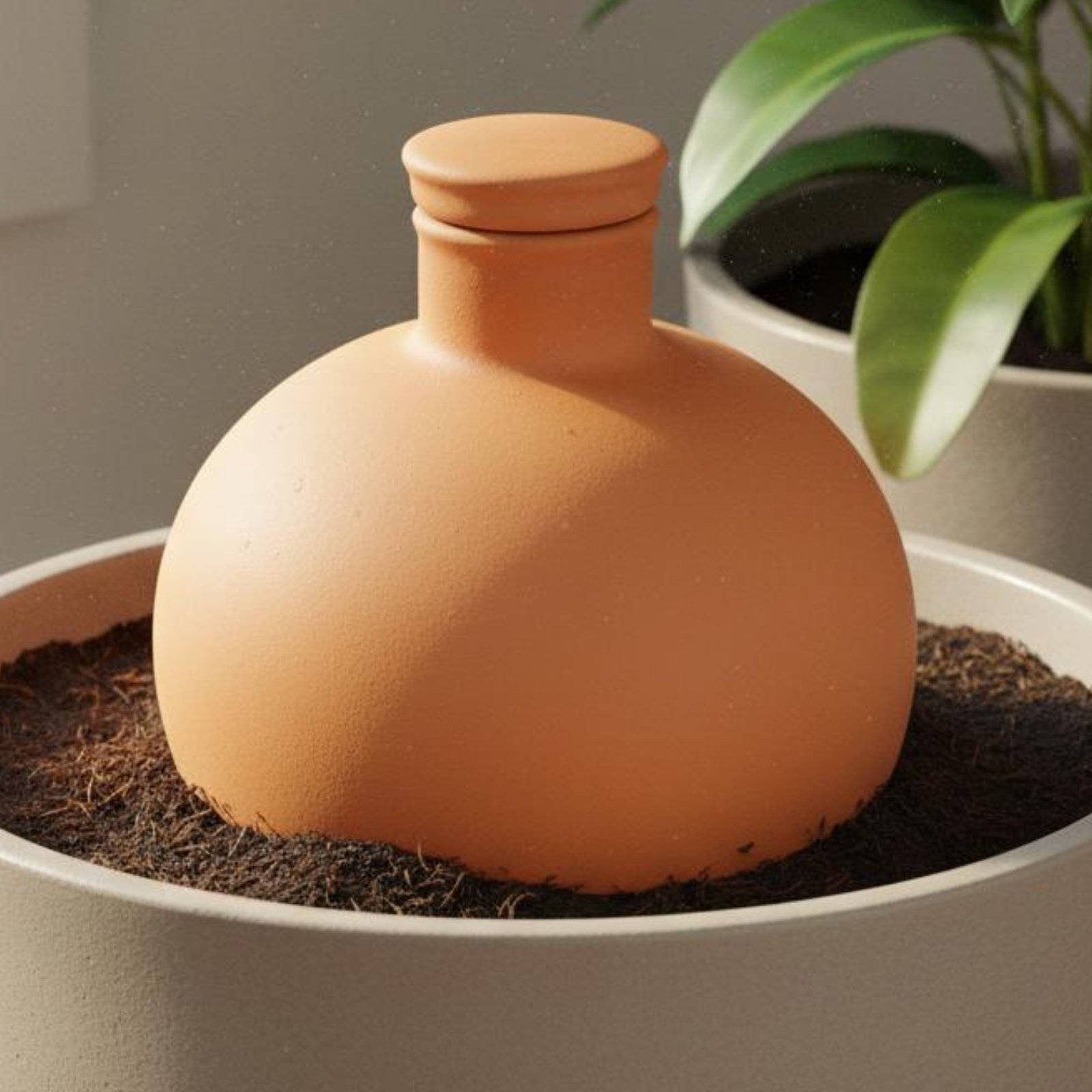 กระถางดินเผา 2 ชิ้น สำหรับรดน้ - Terracotta Pot บทวิจารณ์และราคา