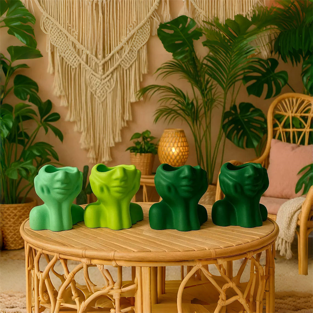 บทคัดย่อ Face Planter หม้อซิลิ - Succulent Set บทวิจารณ์และราคา