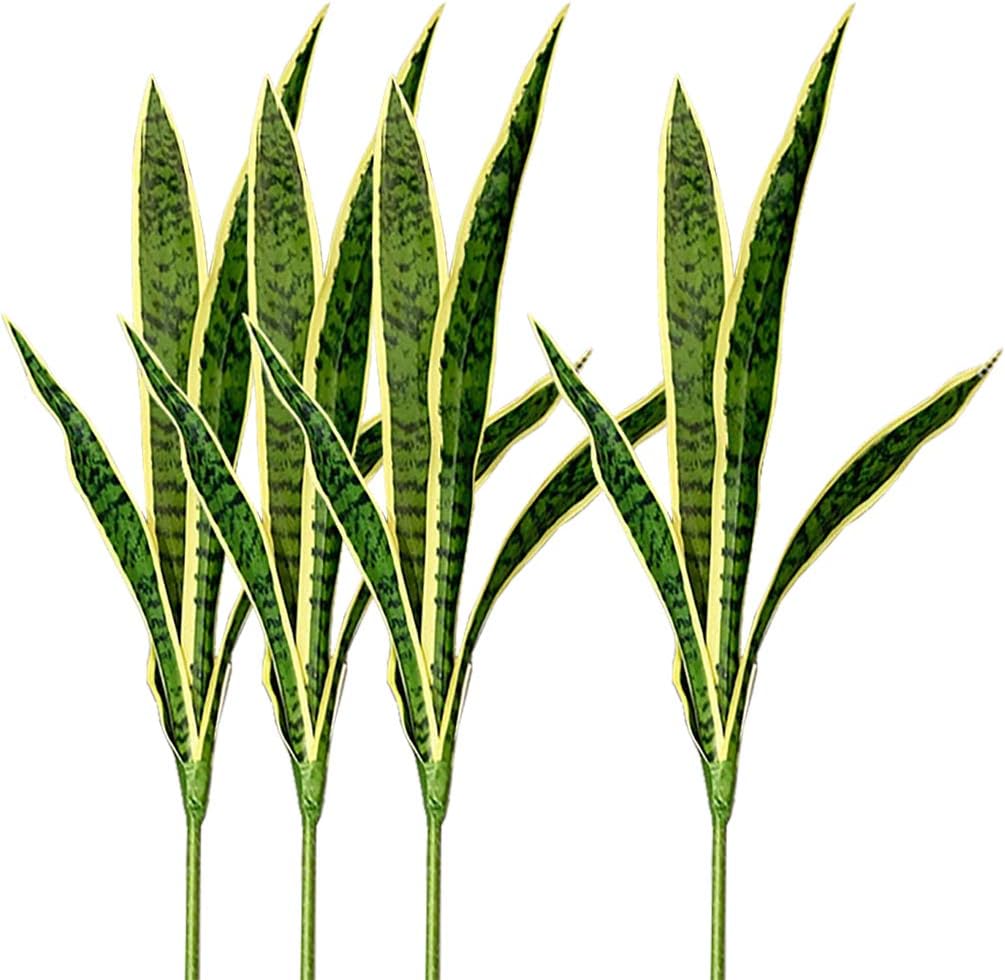 ต้น Sansevieria เทียมงูปลอม4ชิ - Snake Plant บทวิจารณ์และราคา
