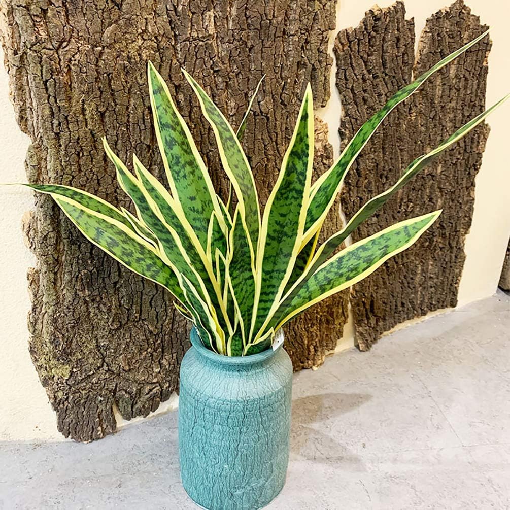 ต้น Sansevieria เทียมงูปลอม4ชิ - Snake Plant บทวิจารณ์และราคา