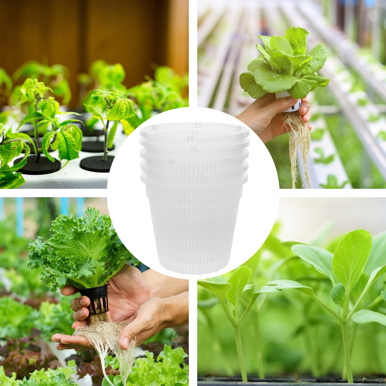 5 ชิ้น กระถางตาข่ายปลูกพืชไฮโด - Plant Pot บทวิจารณ์และราคา