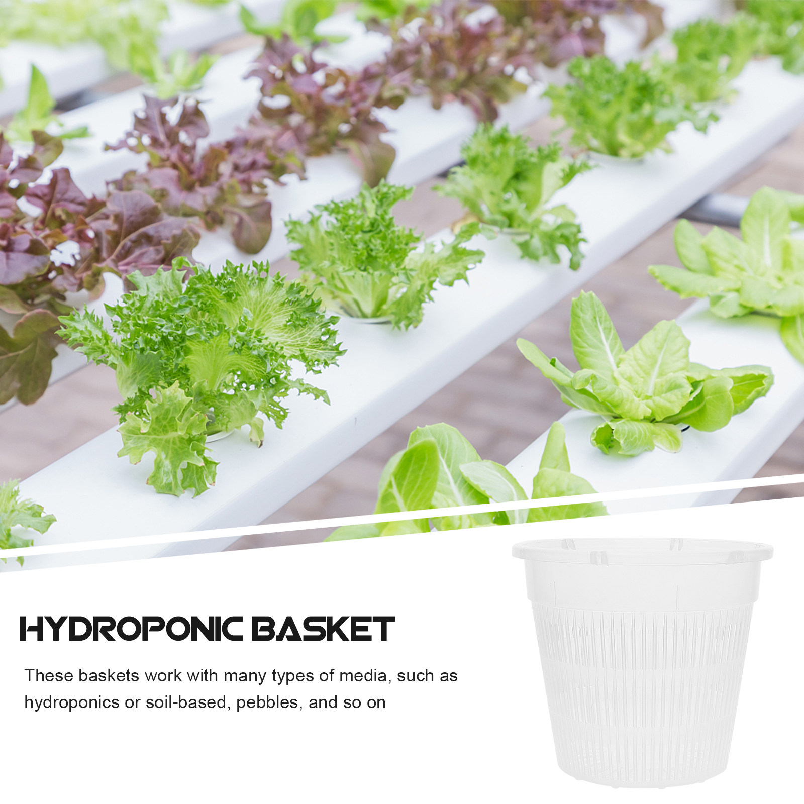 5 ชิ้น กระถางตาข่ายปลูกพืชไฮโด - Plant Pot บทวิจารณ์และราคา