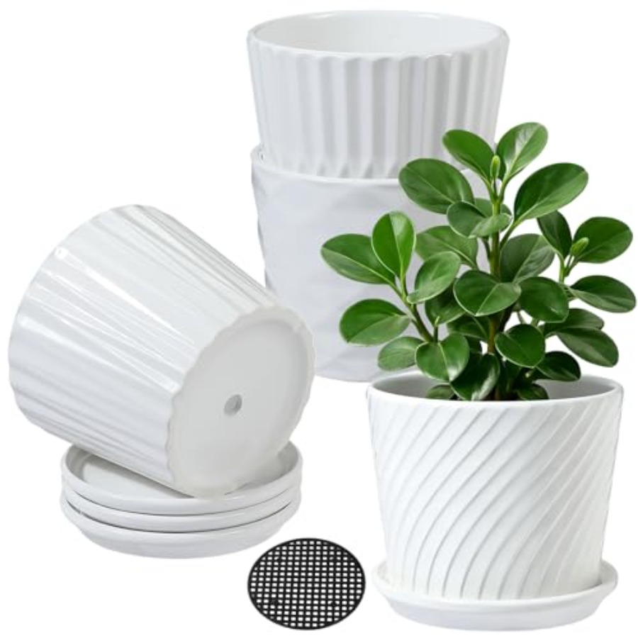 กระถางต้นไม้ - กระถางเซรามิกรู - Snake Plant Ceramic บทวิจารณ์และราคา