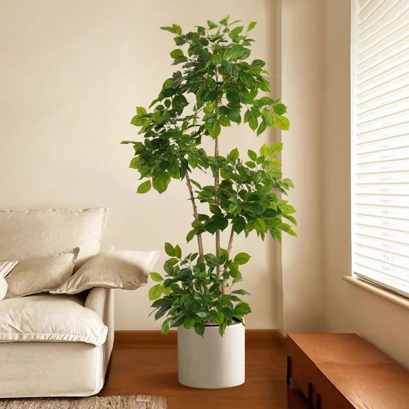 2-78in ขนาดใหญ่พืชปลอมประดิษฐ์ - Fiddle Leaf Fig บทวิจารณ์และราคา