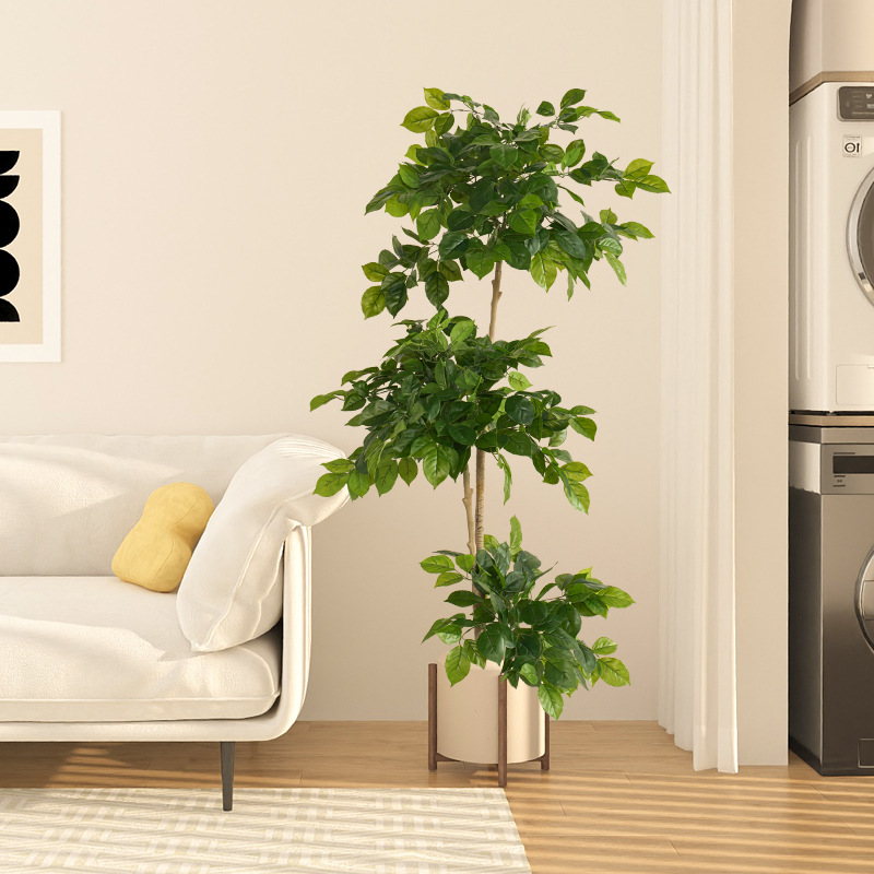 2-78in ขนาดใหญ่พืชปลอมประดิษฐ์ - Fiddle Leaf Fig บทวิจารณ์และราคา