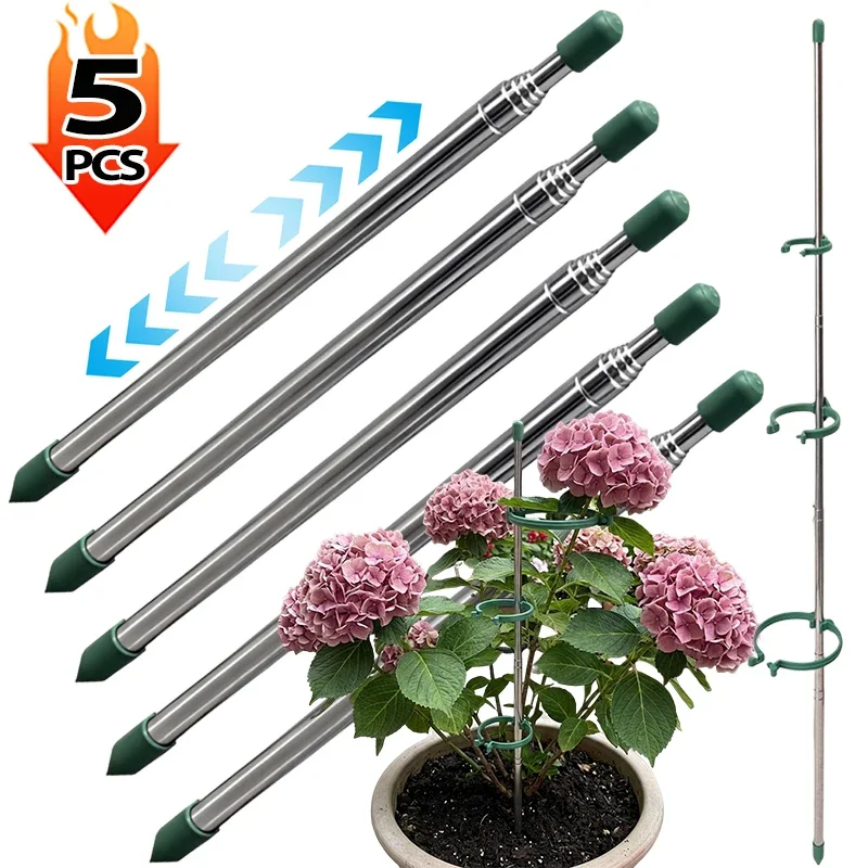 วงแหวนรองรับต้นไม้แบบยืดหดได้  - Plant Support Stake บทวิจารณ์และราคา
