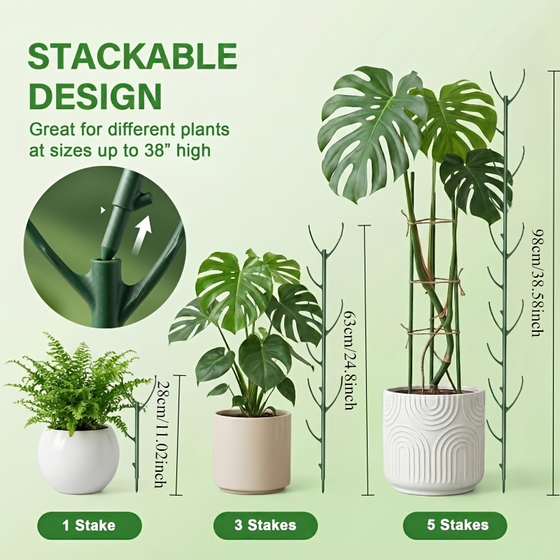 ไม้ค้ำยันต้นมอนสเตอร่า 5 ชิ้นแ - Plant Support Stake บทวิจารณ์และราคา