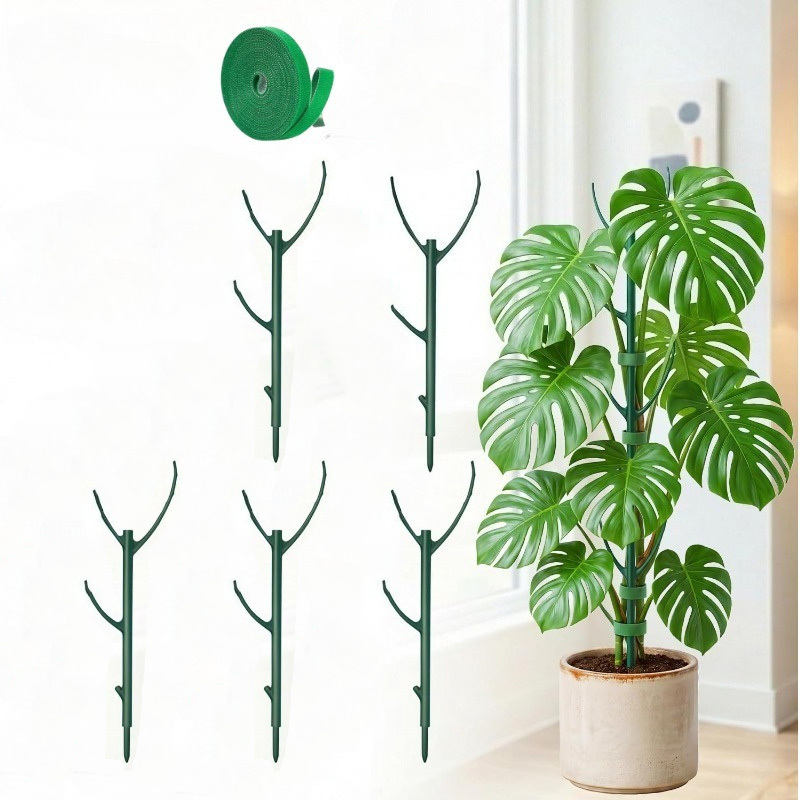 ไม้ค้ำยันต้นมอนสเตอร่า 5 ชิ้นแ - Plant Support Stake บทวิจารณ์และราคา