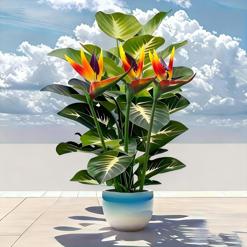 ต้นปักษาสวรรค์และต้นโพธิ์ประดิ - Fiddle Leaf Fig บทวิจารณ์และราคา