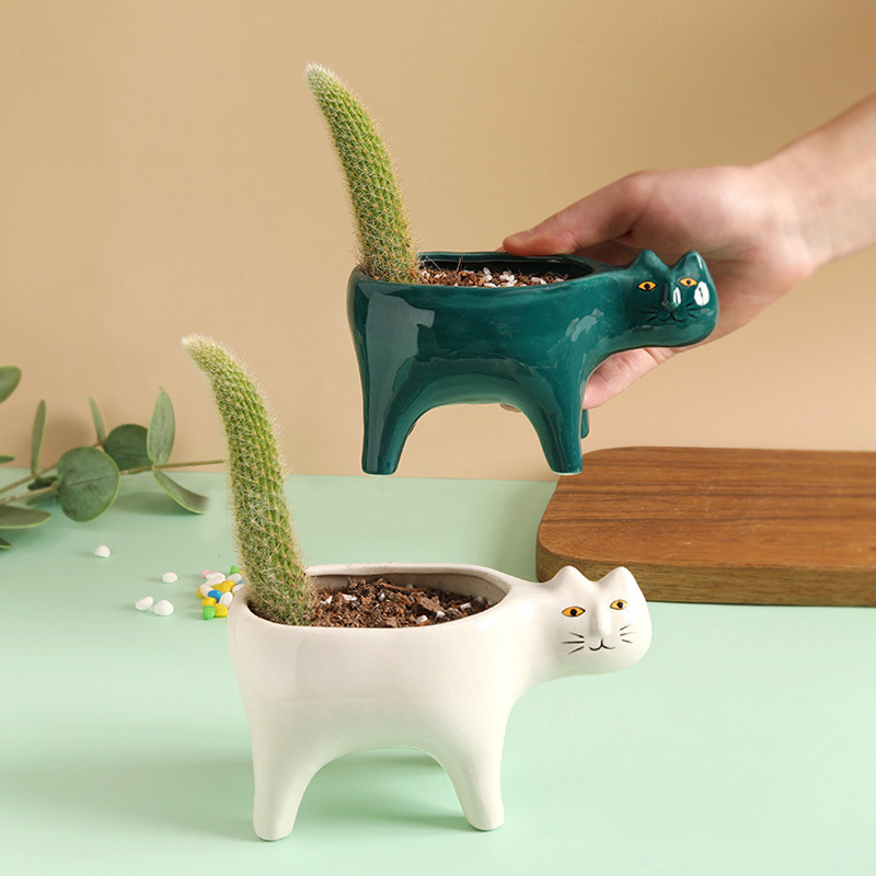 แมวน่ารักเซรามิคสวนดอกไม้หม้อภ - Snake Plant Ceramic บทวิจารณ์และราคา