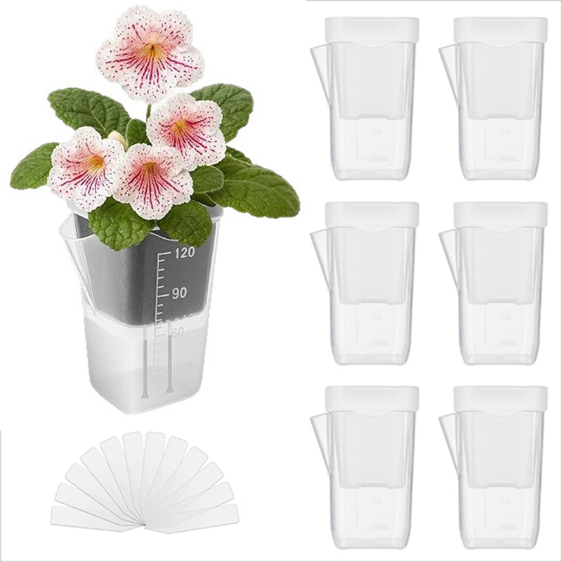 กระถางปลูกต้นไม้แบบรดน้ำเอง 16 - Pothos บทวิจารณ์และราคา
