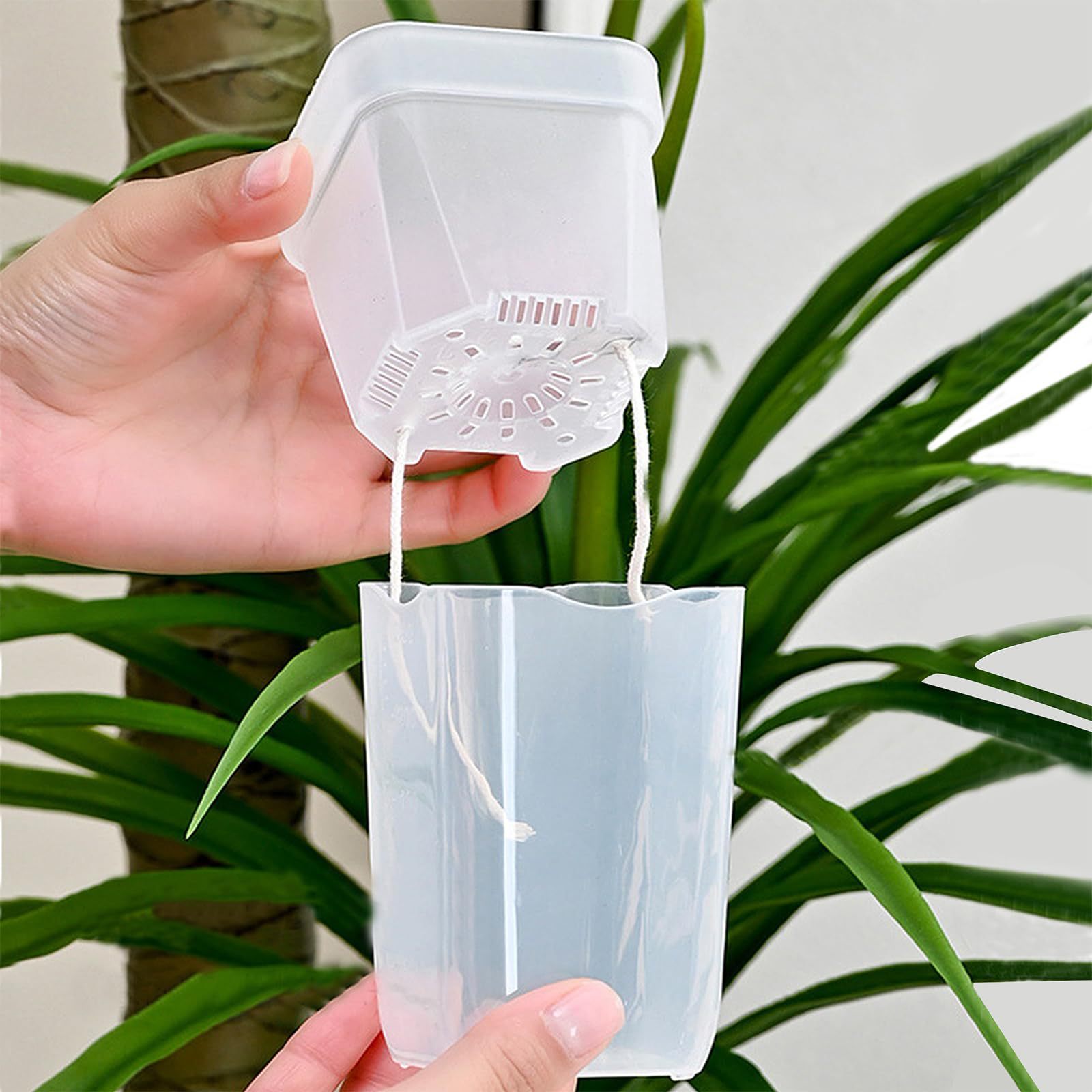 กระถางปลูกต้นไม้แบบรดน้ำเอง 16 - Pothos บทวิจารณ์และราคา