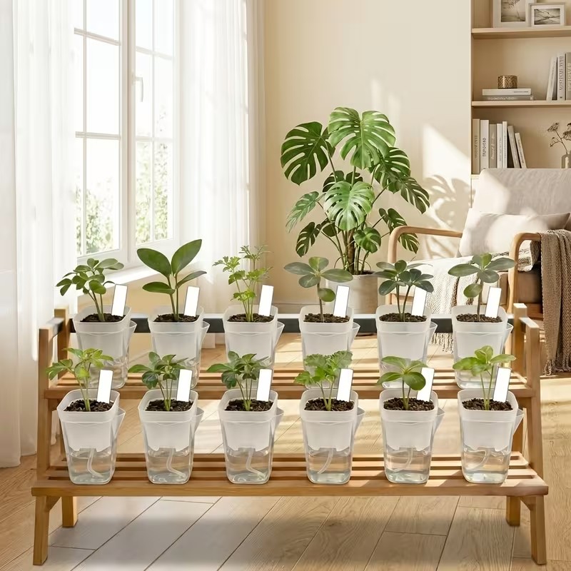 กระถางปลูกต้นไม้แบบรดน้ำเอง 16 - Pothos บทวิจารณ์และราคา