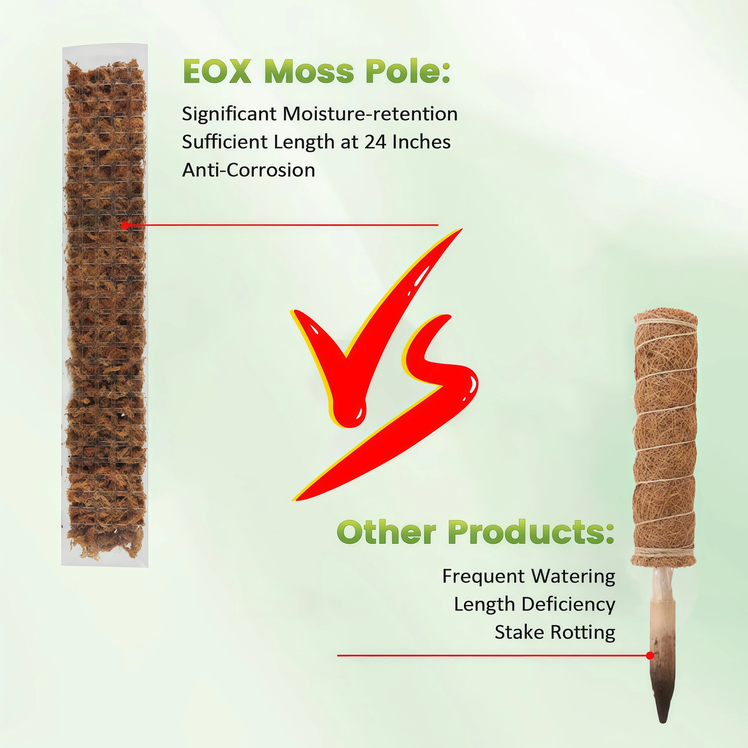 เสาไม้พุ่มพลาสติกสำหรับพืชเลื้ - Plant Support Stake บทวิจารณ์และราคา