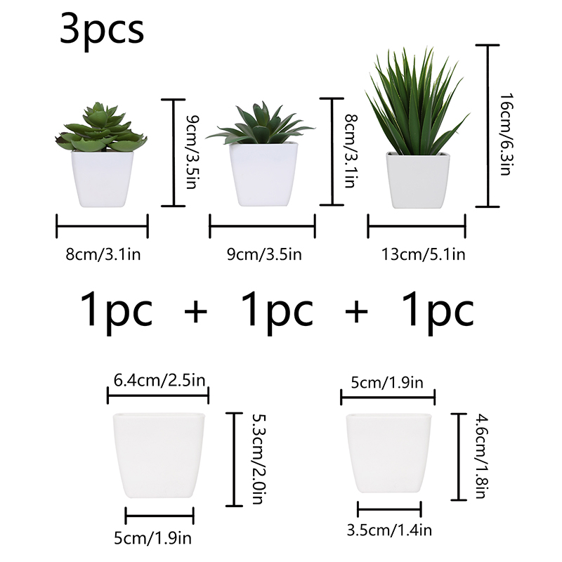 พืชบอนไซเอเวอร์กรีนเทียม3ชิ้นเ - Succulent Set บทวิจารณ์และราคา