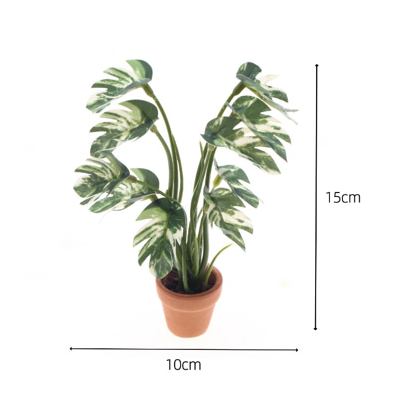ใหม่! ต้นมอนสเตอร่าจำลอง 1 ชิ้ - Plant Pot บทวิจารณ์และราคา