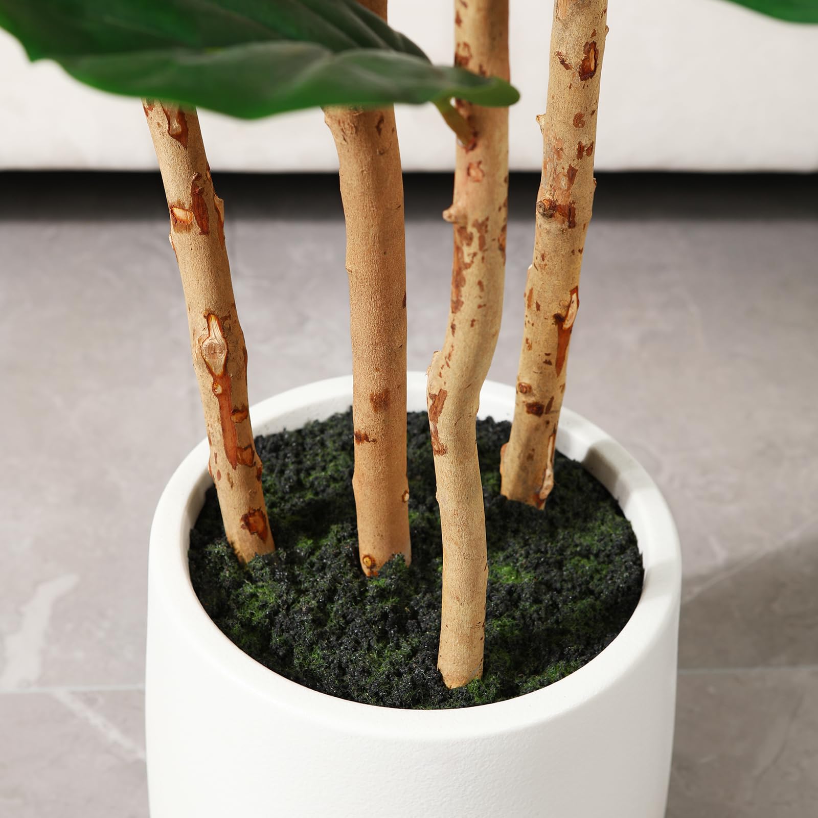 ต้นไม้ฟิกเลฟฟิลด์ประดิษฐ์ พร้อ - Fiddle Leaf Fig บทวิจารณ์และราคา