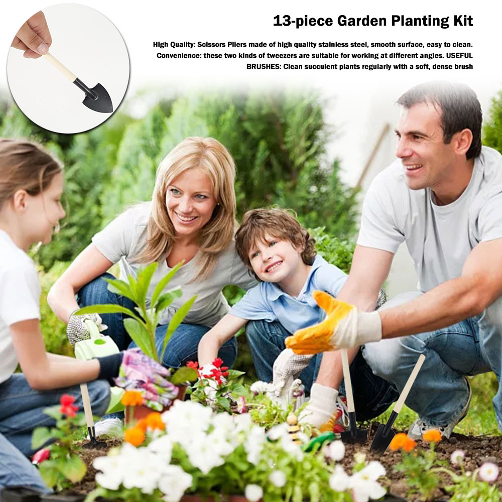 Succulentพืชเครื่องมือMini Gar - Succulent Set บทวิจารณ์และราคา