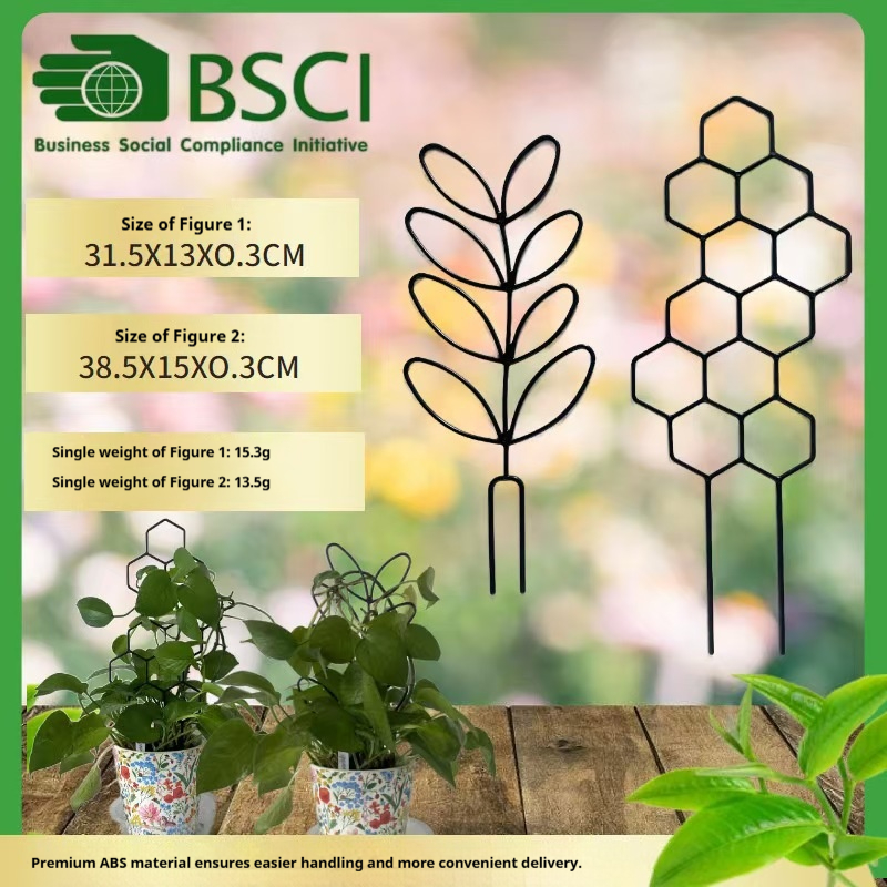 โครงตาข่ายปลูกต้นไม้ลายรังผึ้ง - Terracotta Pot บทวิจารณ์และราคา