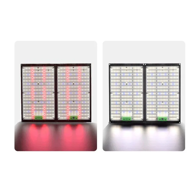 ไฟปลูกต้นไม้ LED แบบควอนตัมบอร - Indoor Plants บทวิจารณ์และราคา