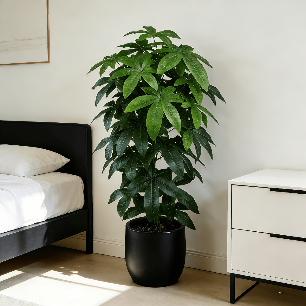 ต้นไม้เงินประดิษฐ์พัชรีรา อควา - Fiddle Leaf Fig บทวิจารณ์และราคา